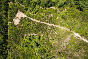 Property Photo:  10 Acres New York Rd.  MS 39425 