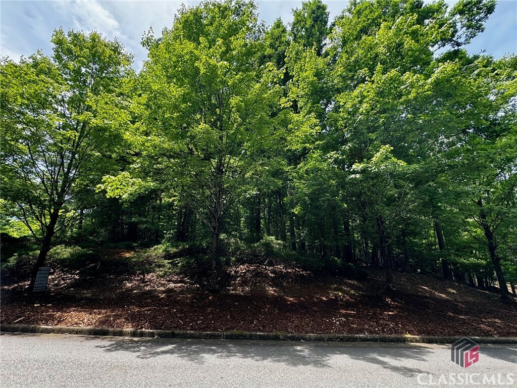 Property Photo:  680 Mitchell Bridge Road Tract 1  GA 30606 