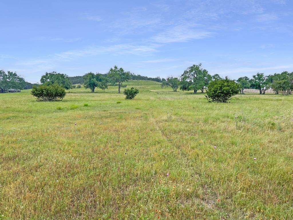 Property Photo:  961 Thriving Oak Dr.  TX 78624 