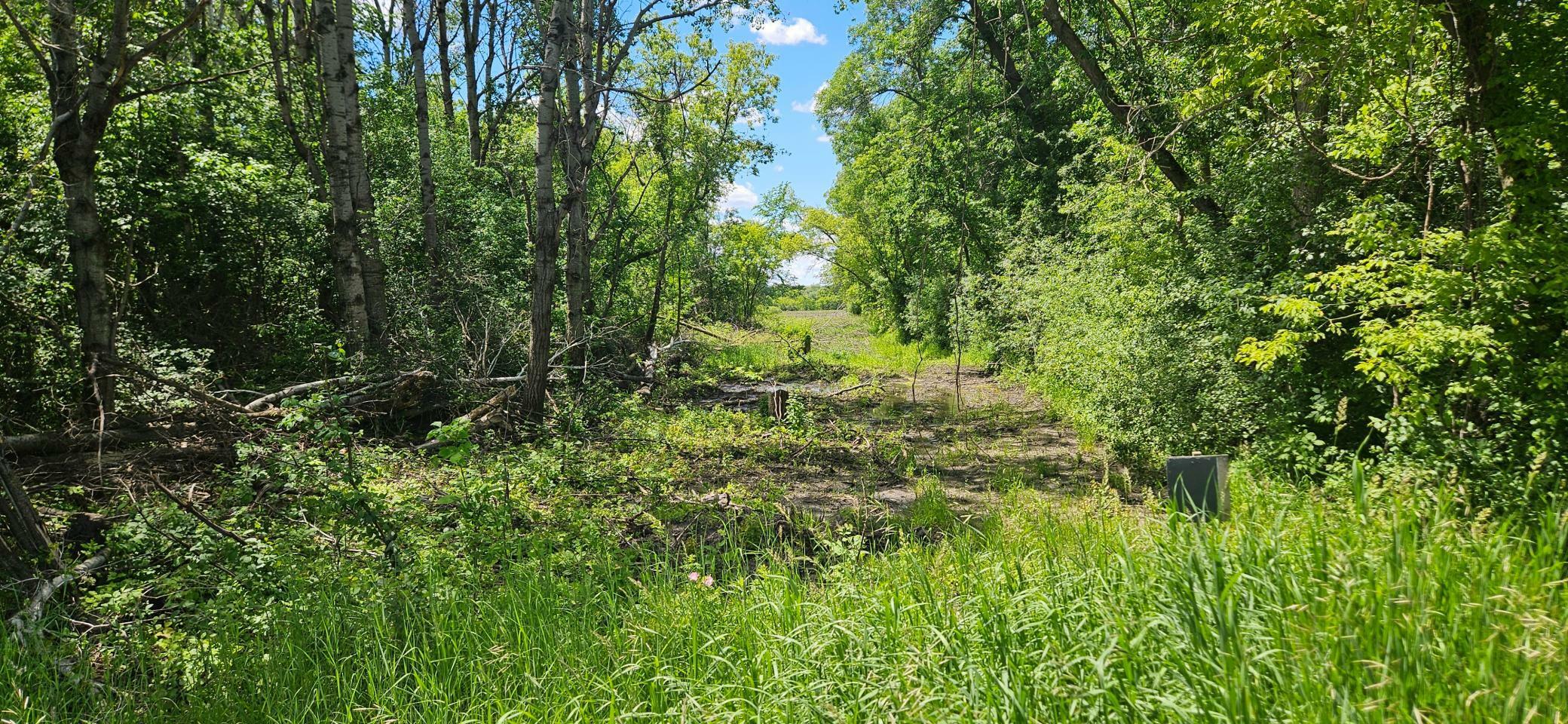 Property Photo:  Xxxx 617th Avenue  MN 55389 