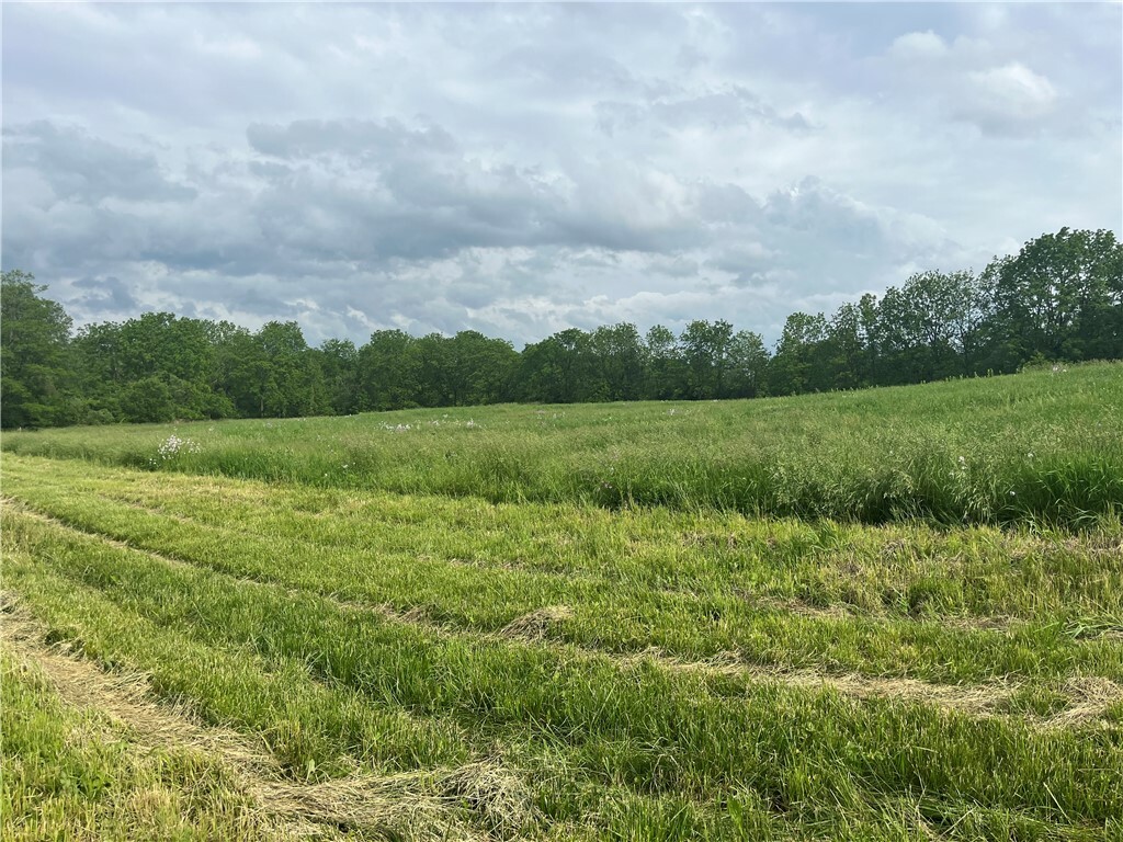 Property Photo:  0 County Rd 1, Parcel B Road  NY 14886 