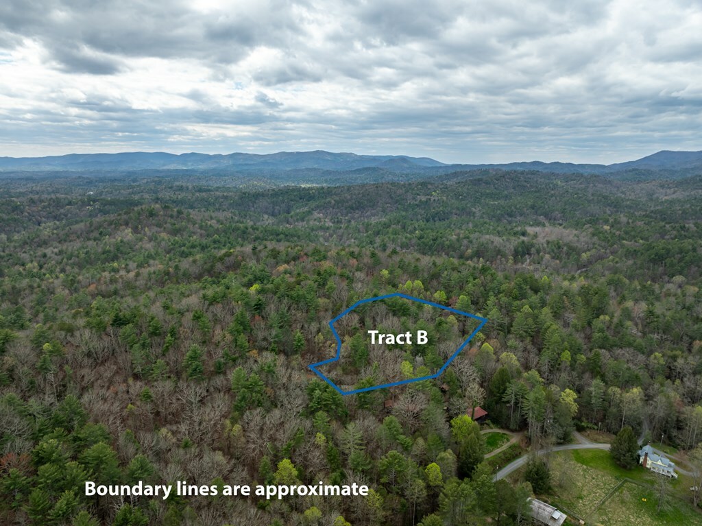 Property Photo:  Tract B Harpers Creek Road  GA 30540 