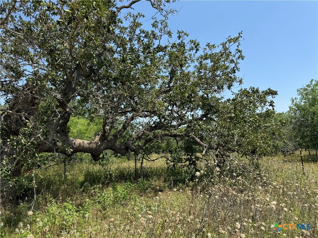 Property Photo: 187 Steele Branch Lane TX 78160