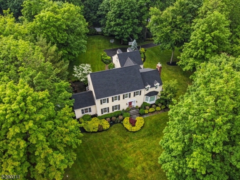 Property Photo: 45 Stockmar Dr NJ 07920