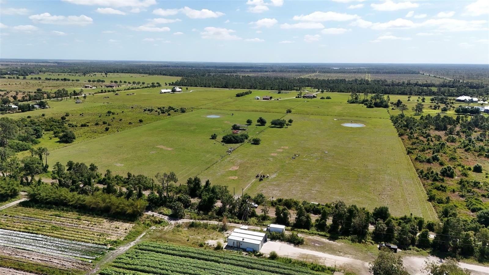 Property Photo:  35040 Bermont Road  FL 33982 