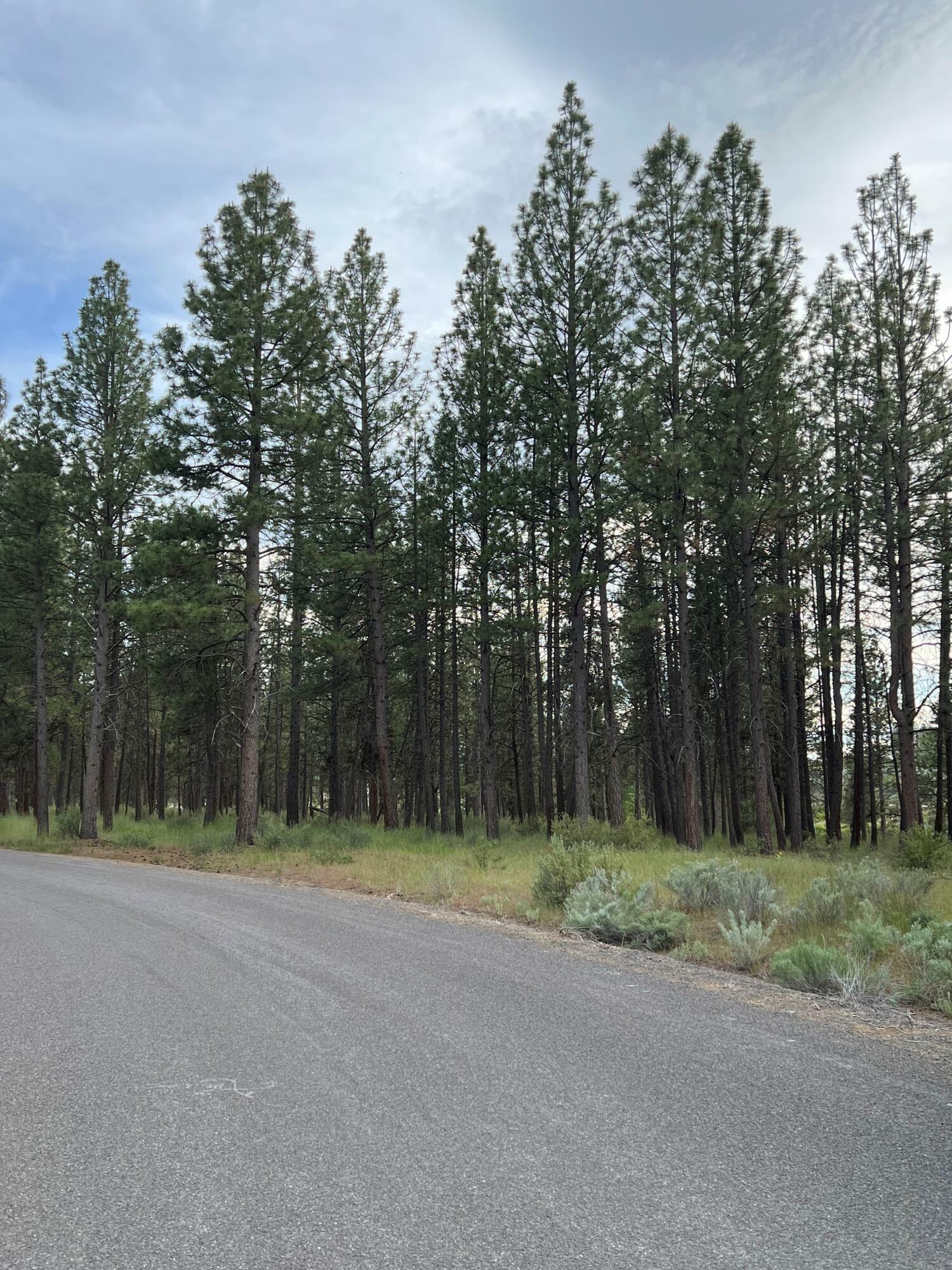 Property Photo:  Pine Meadow Village Lot 12  OR 97624 