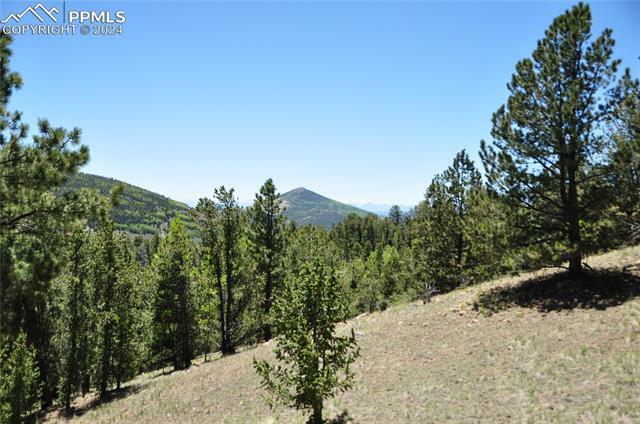 Property Photo:  1429 Fairview Drive  CO 80813 