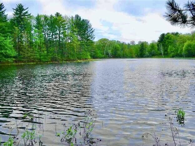 Property Photo: 4571, 4495 Hiawatha Trail MI 49735