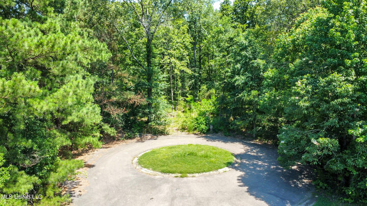 Property Photo:  0 Shady Brook Cove  MS 39272 