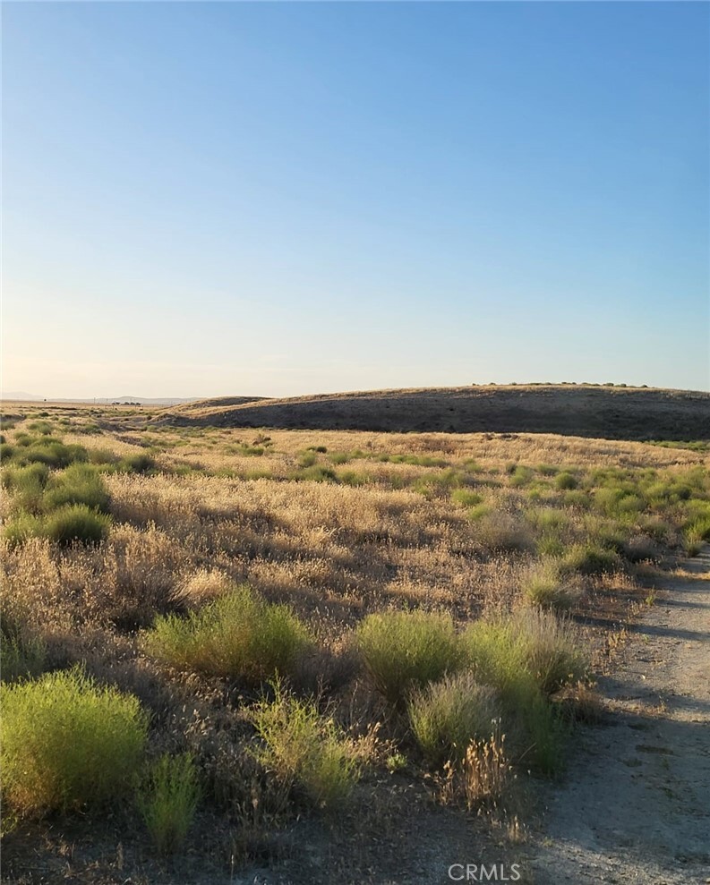 Property Photo:  0 Avenal  CA 93204 