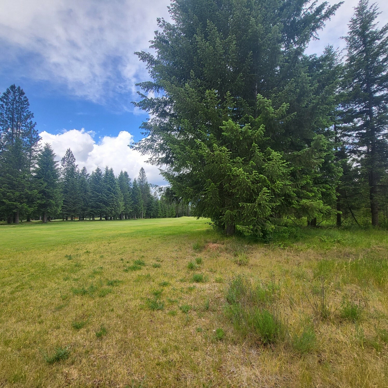 Property Photo:  Nhn Fairview Drive  MT 59866 