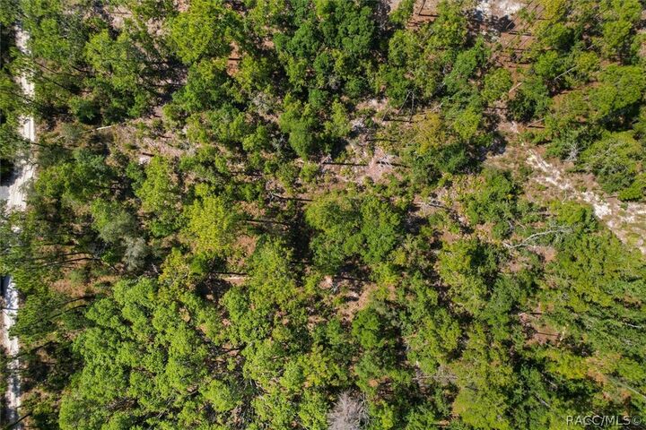 Property Photo:  16452 Hardeman Junction  FL 34614 