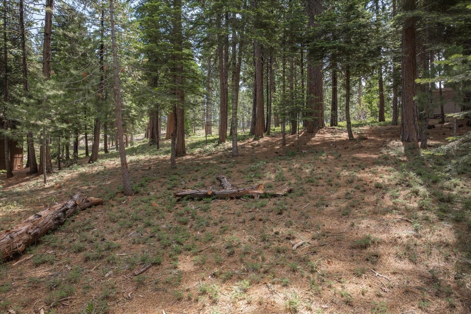 Property Photo:  2092 Mokelumne Road  CA 95223 