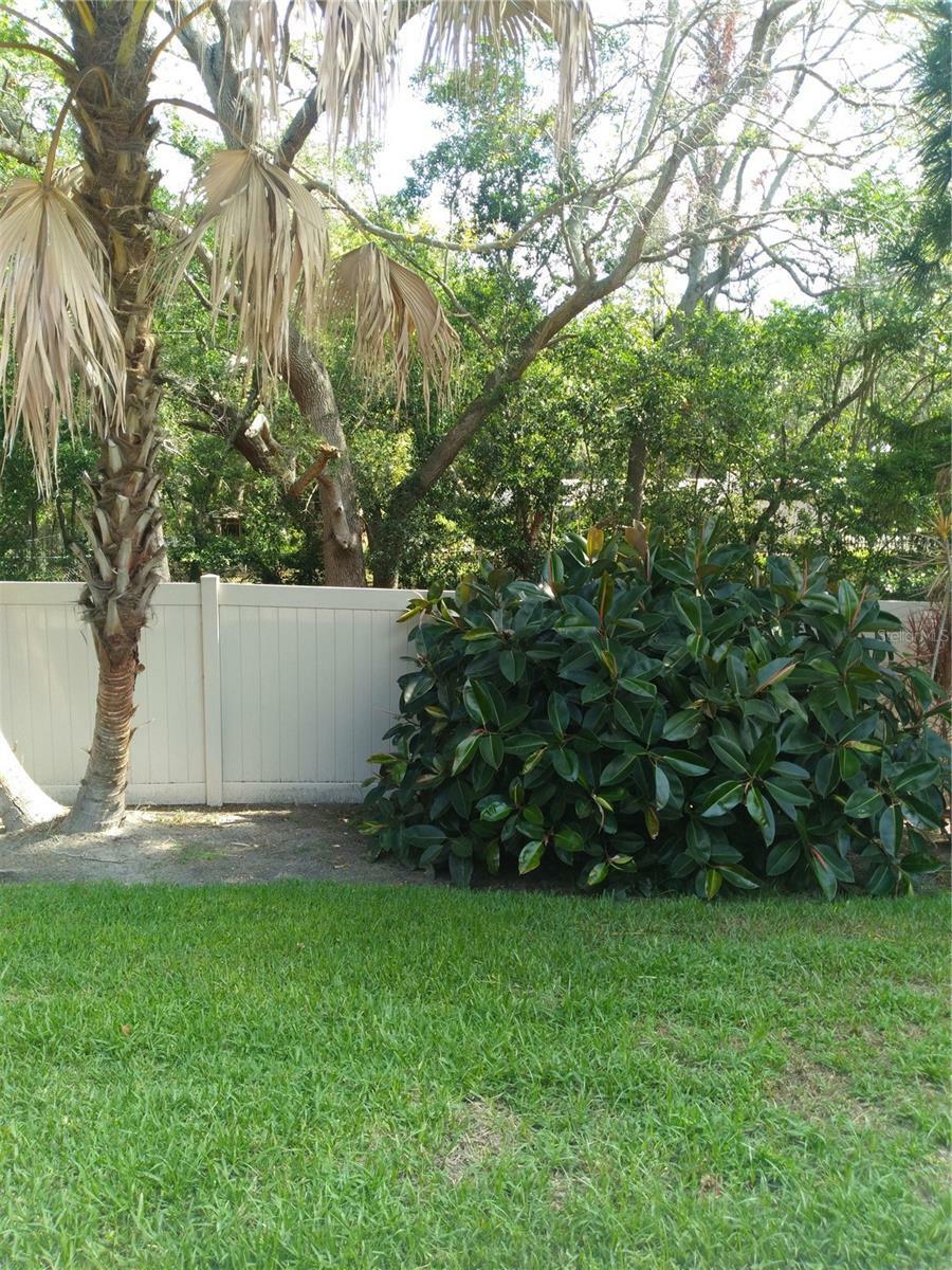 Property Photo:  472 Exmoor Terrace 1683  FL 34698 