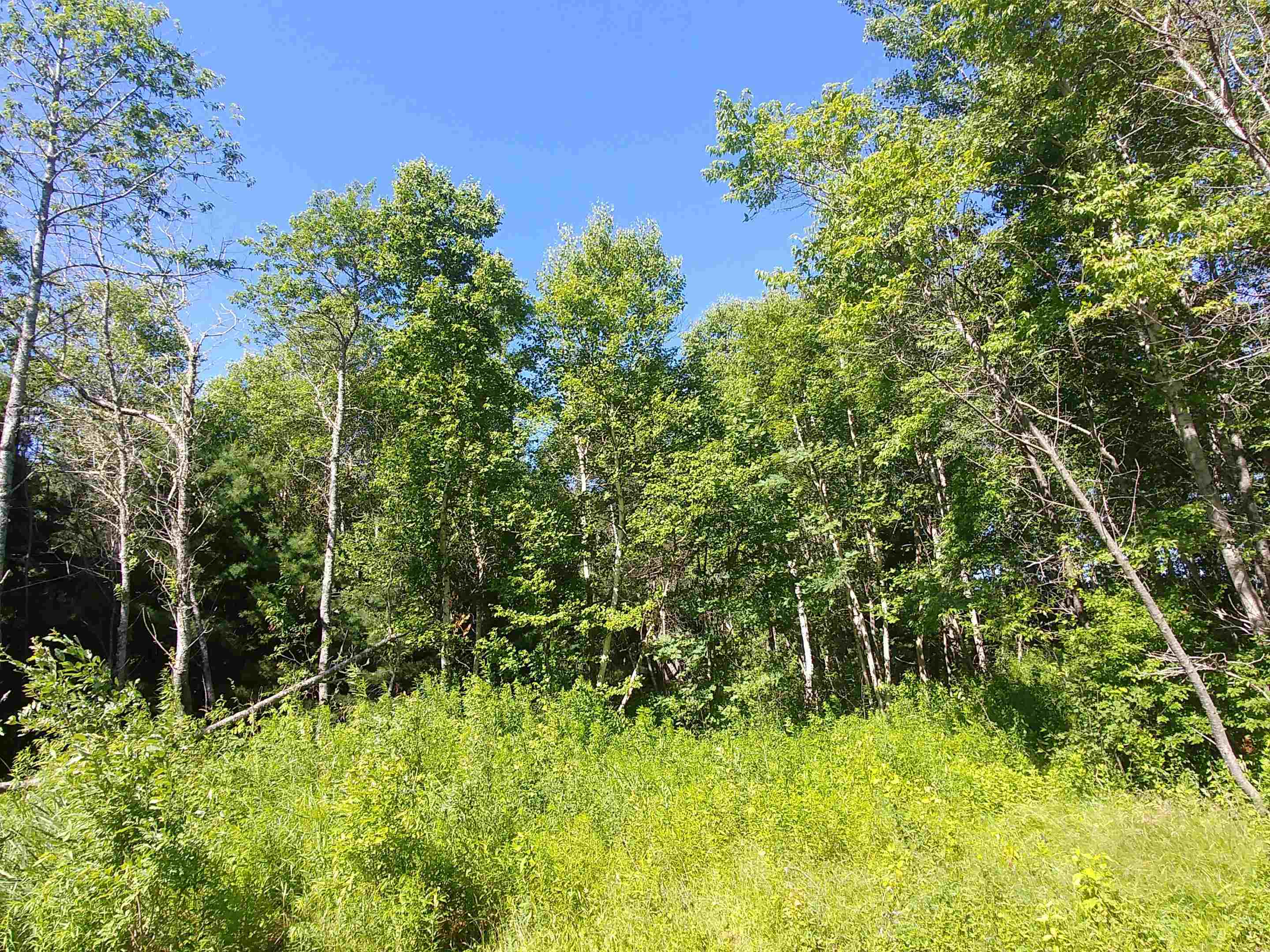 Photo de la propriété:  Lot 13 Birch Lane Lane  PE C0A 1L0 