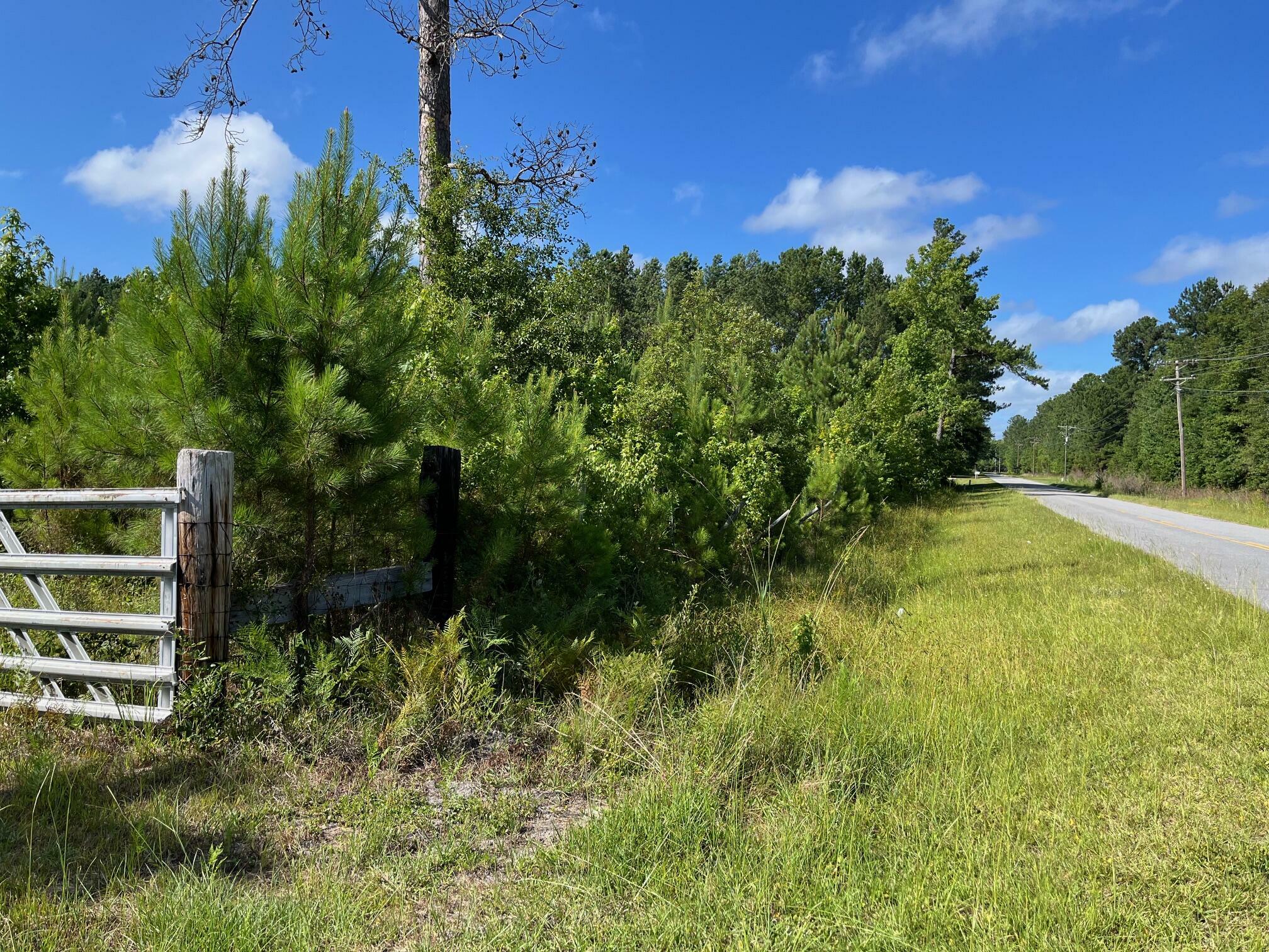 Property Photo:  Tbd Miles Road  SC 29944 