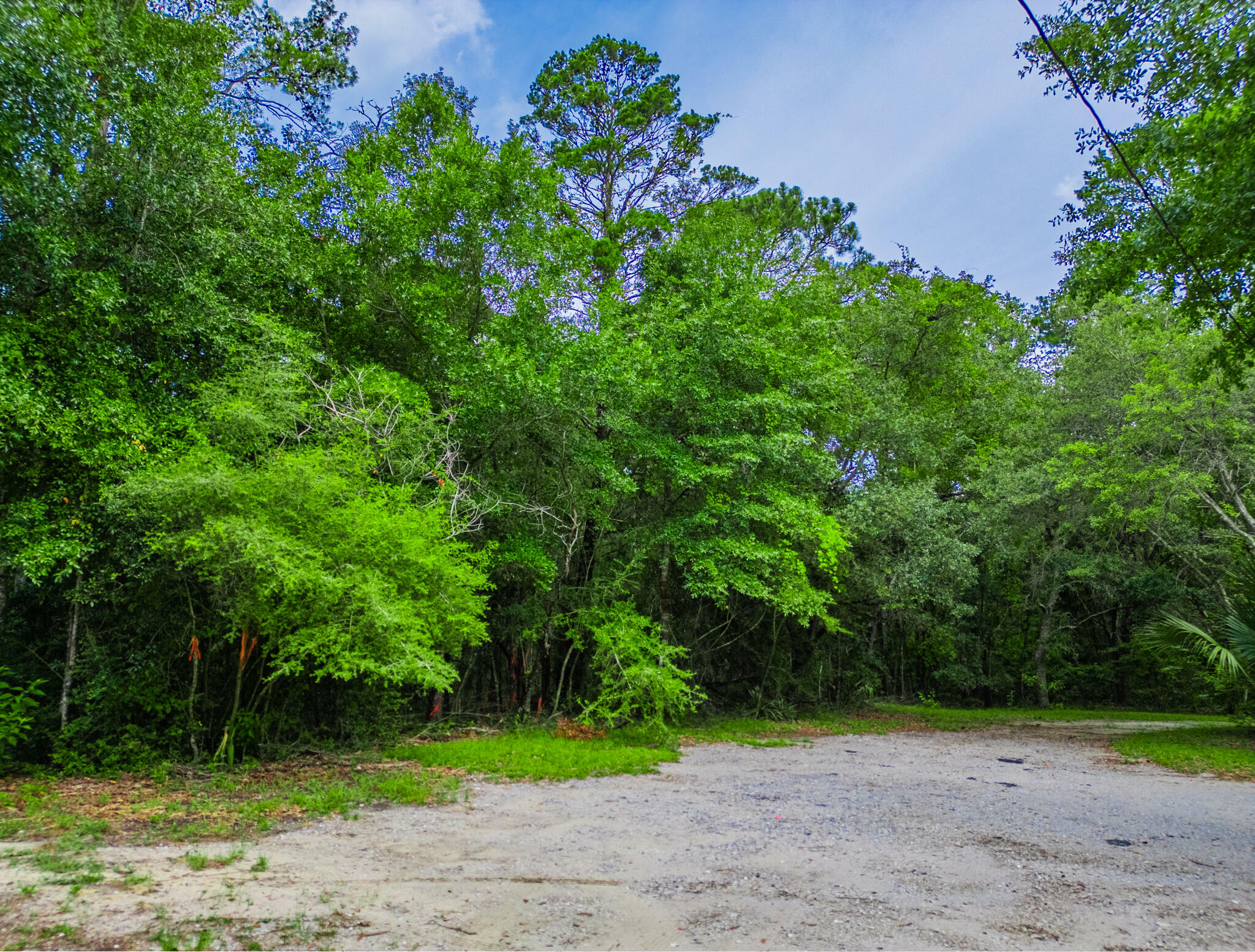 Property Photo: Lot 10 Blk 2 Peachtree Heights On Marie Drive FL 32459