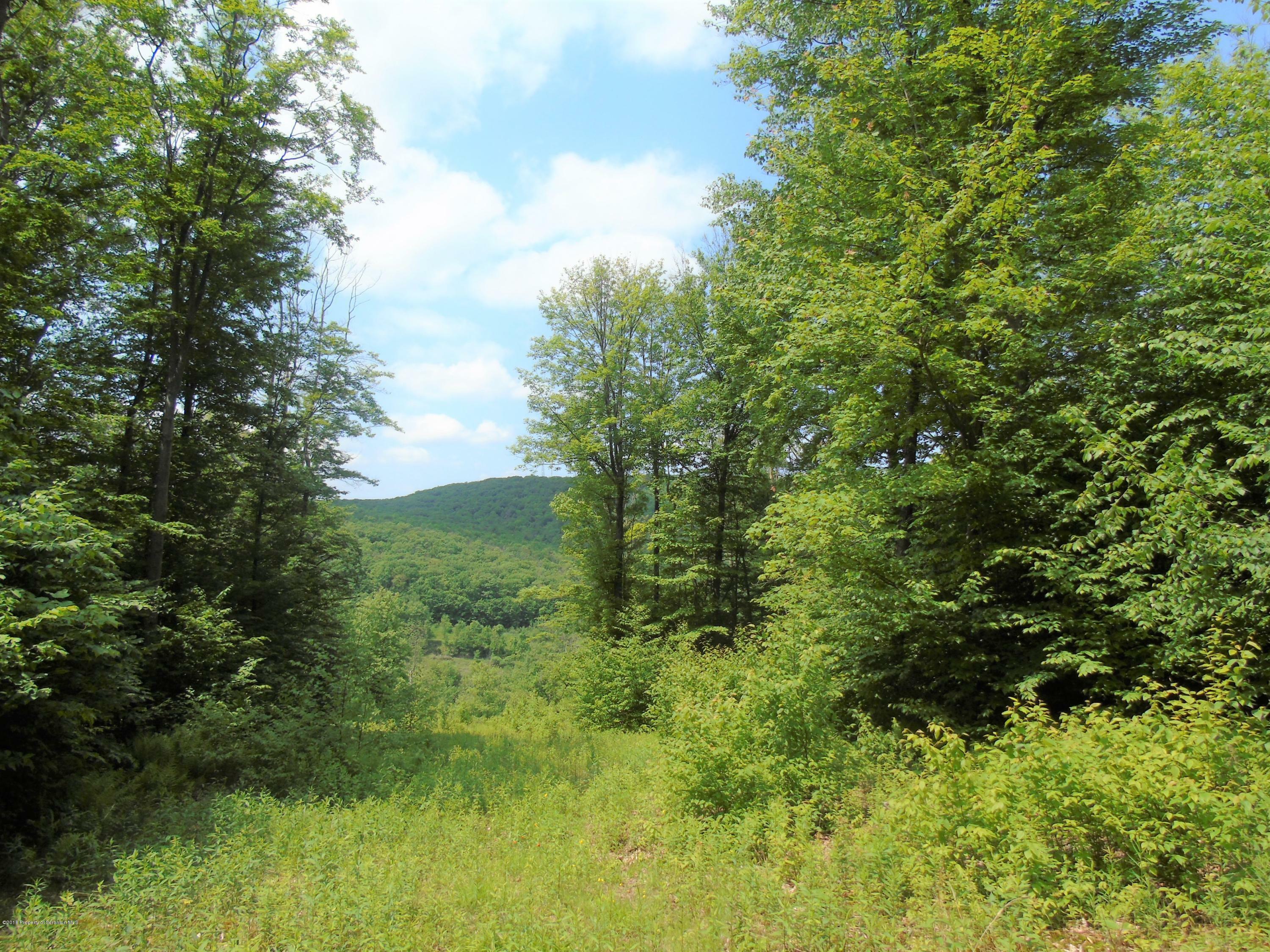 Property Photo:  58 Summit Woods  PA 18444 