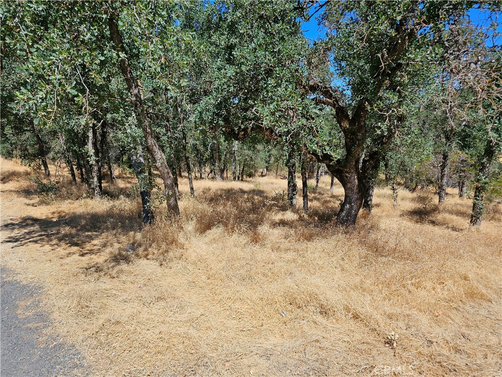 Property Photo:  15676 34th Avenue  CA 95422 