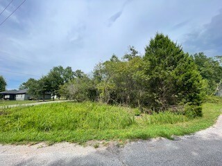 Lot 13 Casebolt Lane  Bella Vista AR 72715 photo