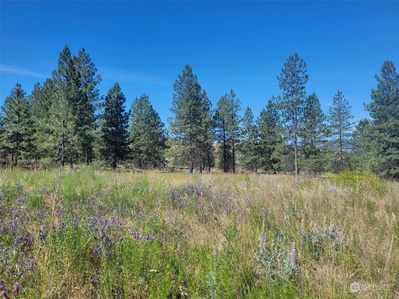 Property Photo:  0 Rehmke Road  WA 98855 