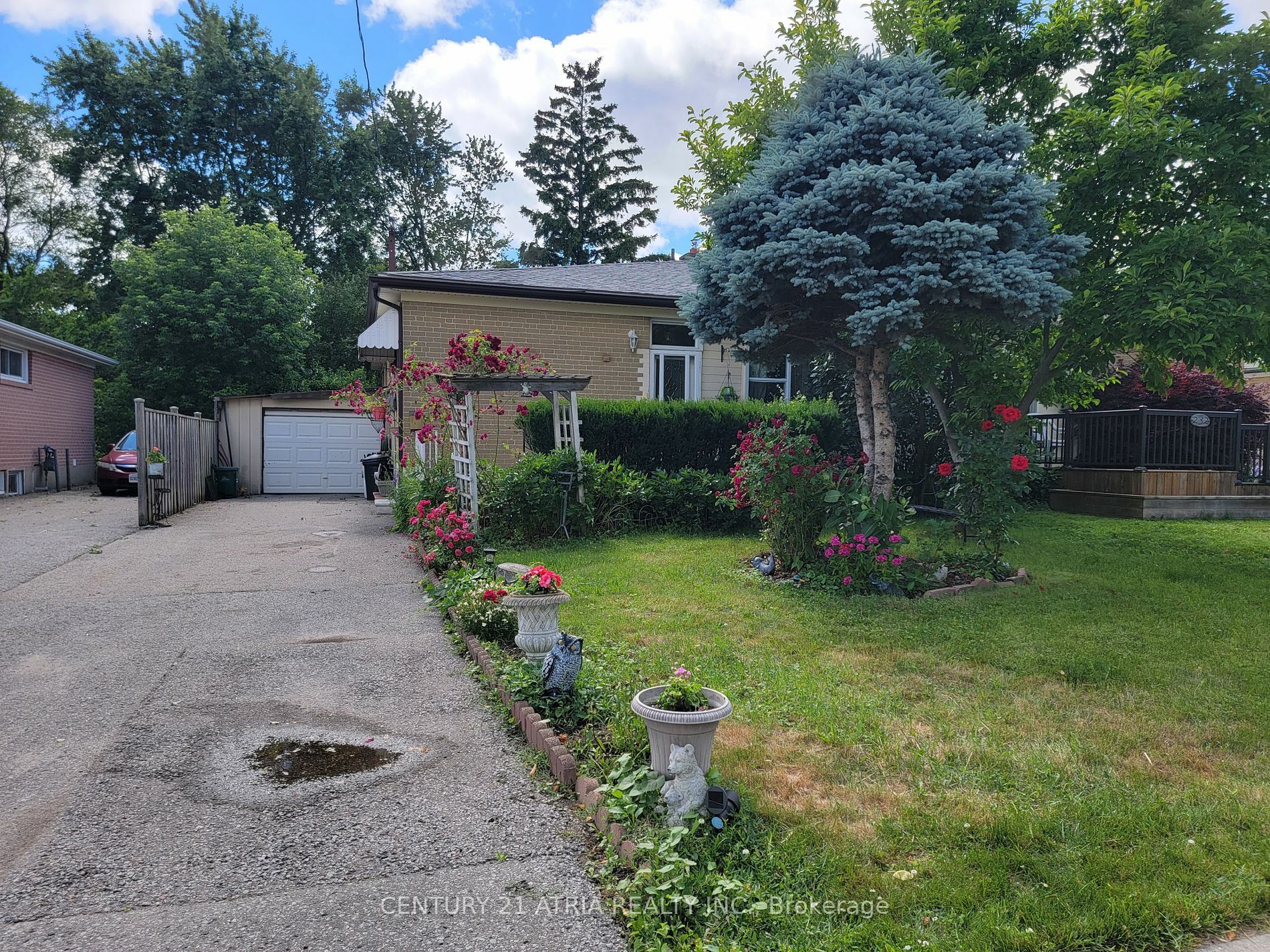 Photo de la propriété:  230 Axminster Dr  ON L4C 2W1 