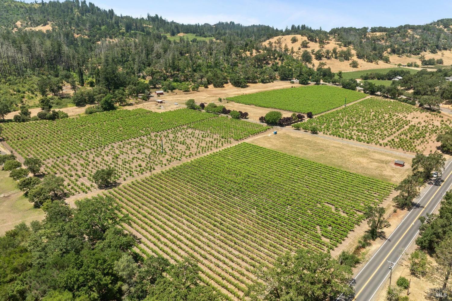 3567 State Highway 128  Calistoga CA 94515 photo
