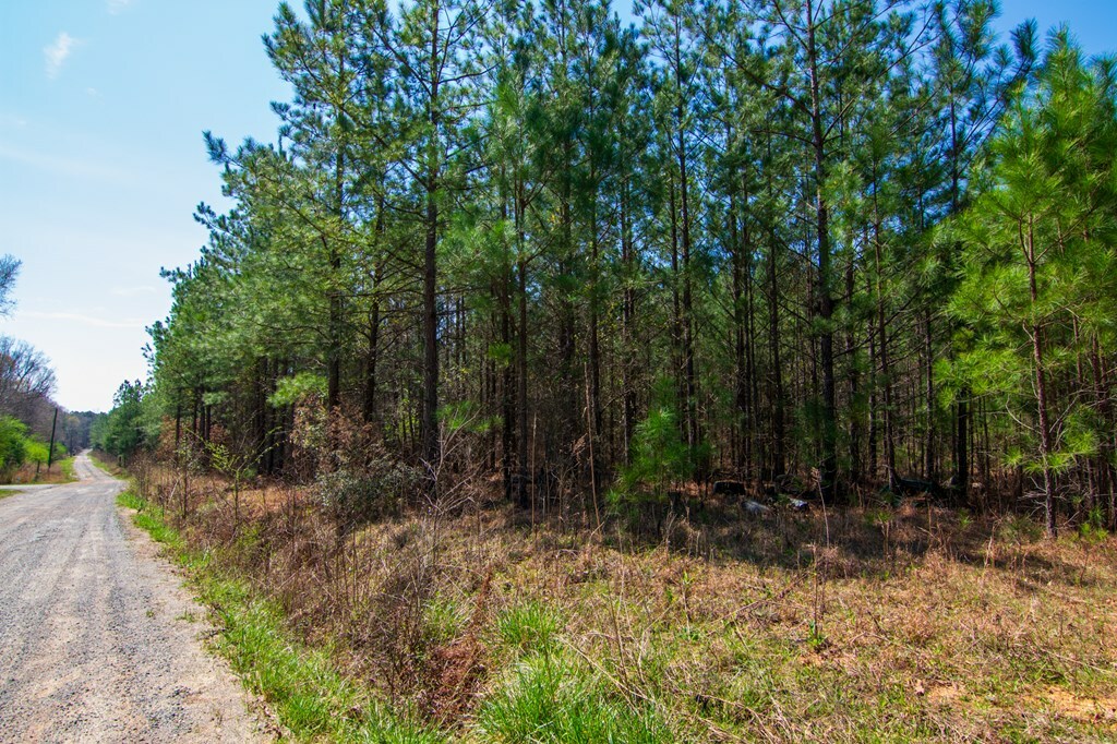 Property Photo:  0A Taylor Road  GA 31811 