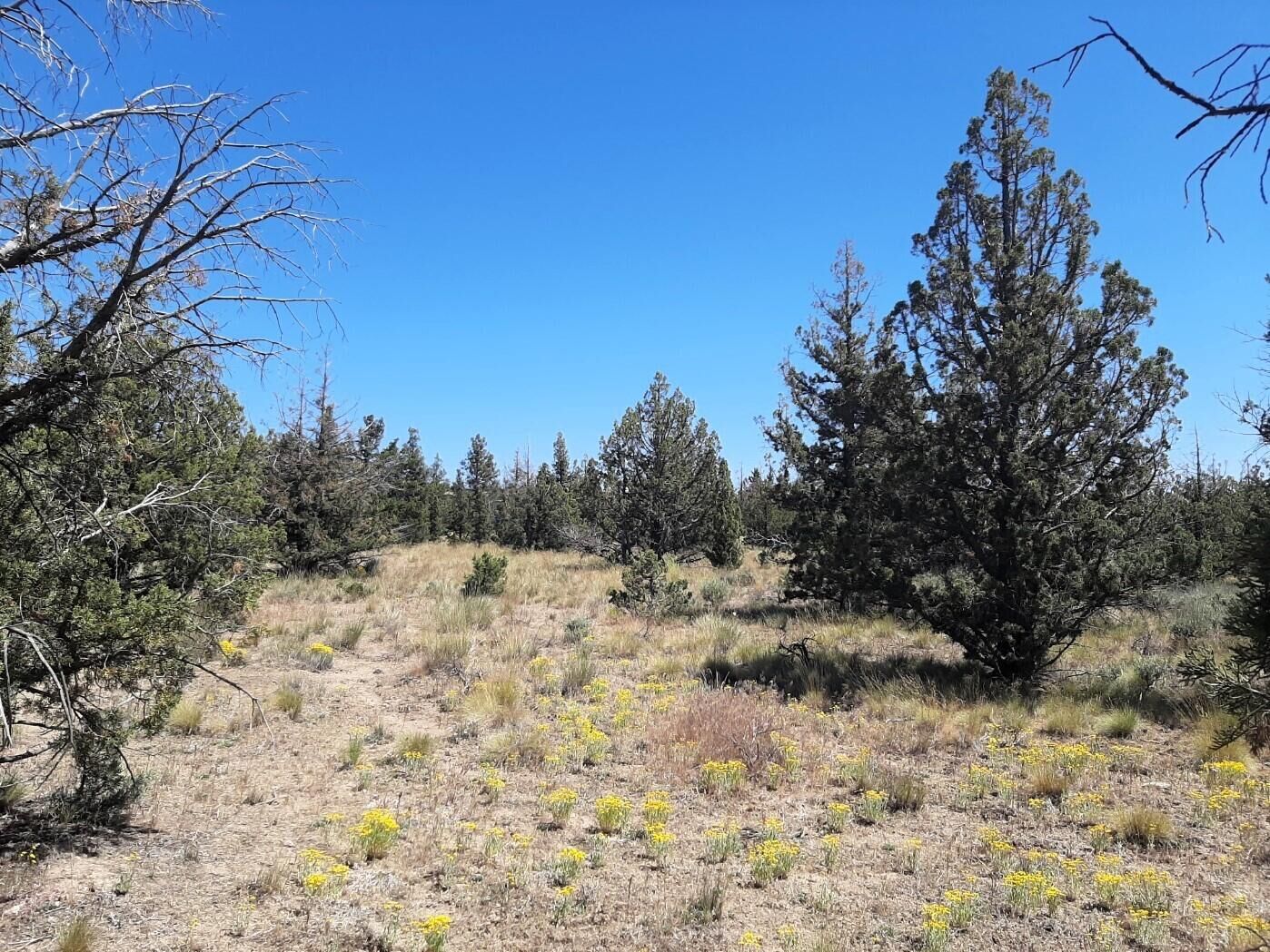 Property Photo:  Tl2200 SE Yakima Road  OR 97754 