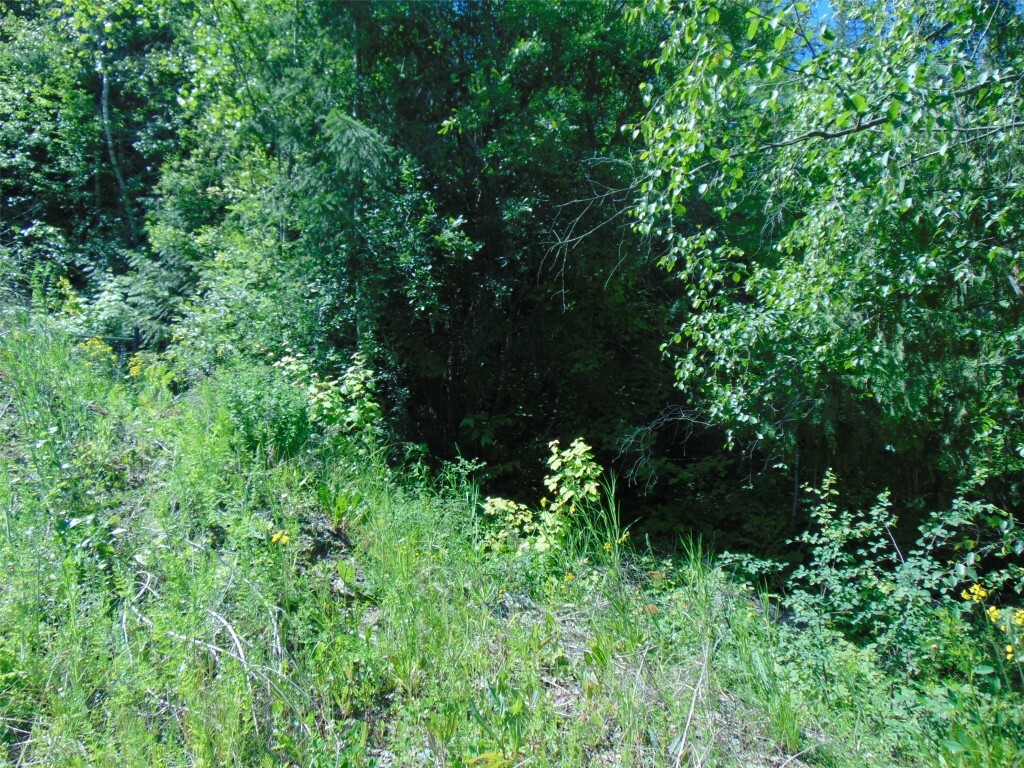 Property Photo:  Lot 181 Woodland Place  BC V0E 1H1 