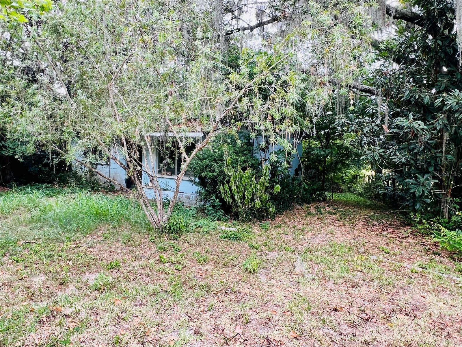 Property Photo:  19317 County Road 455  FL 34715 