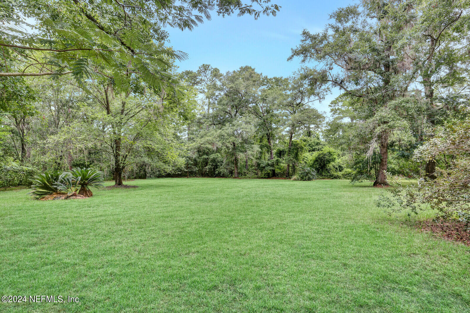 Property Photo:  5350 Widgeon Court  FL 32068 