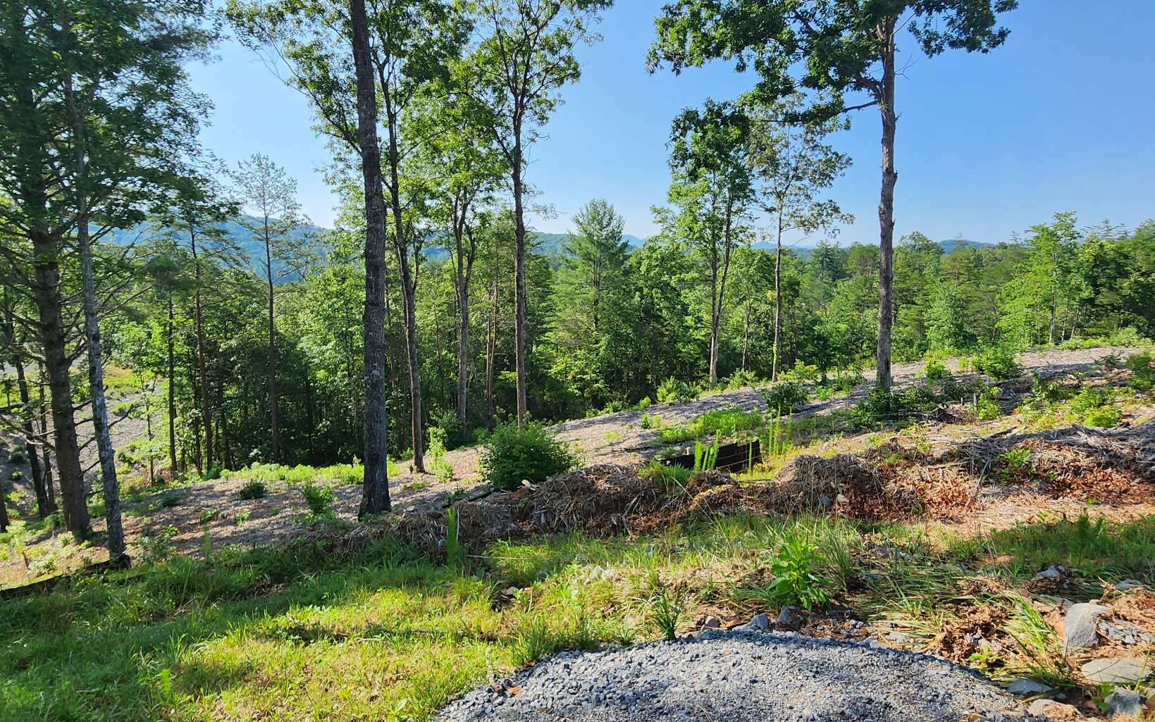 Property Photo:  Lot 18 Mountain Laurel Ridg  GA 30559 