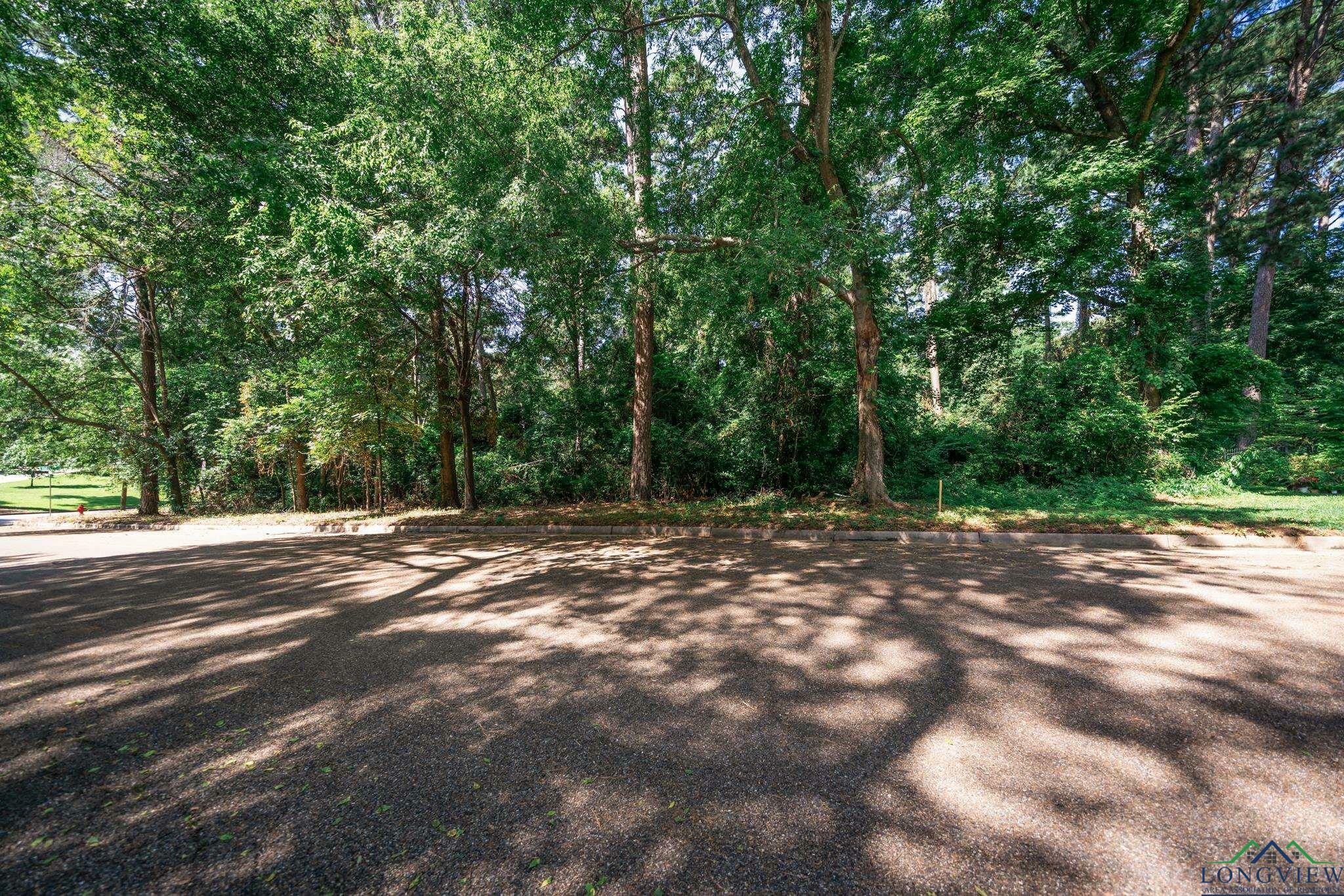 Property Photo:  1301 Inwood Rd  TX 75601 