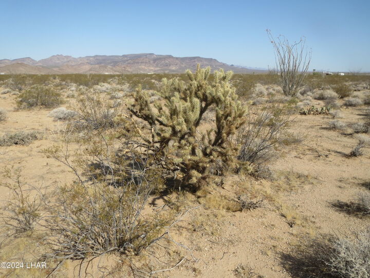 Lot 49-51 Rio Vista 2 Subdivision  Topock AZ 86436 photo