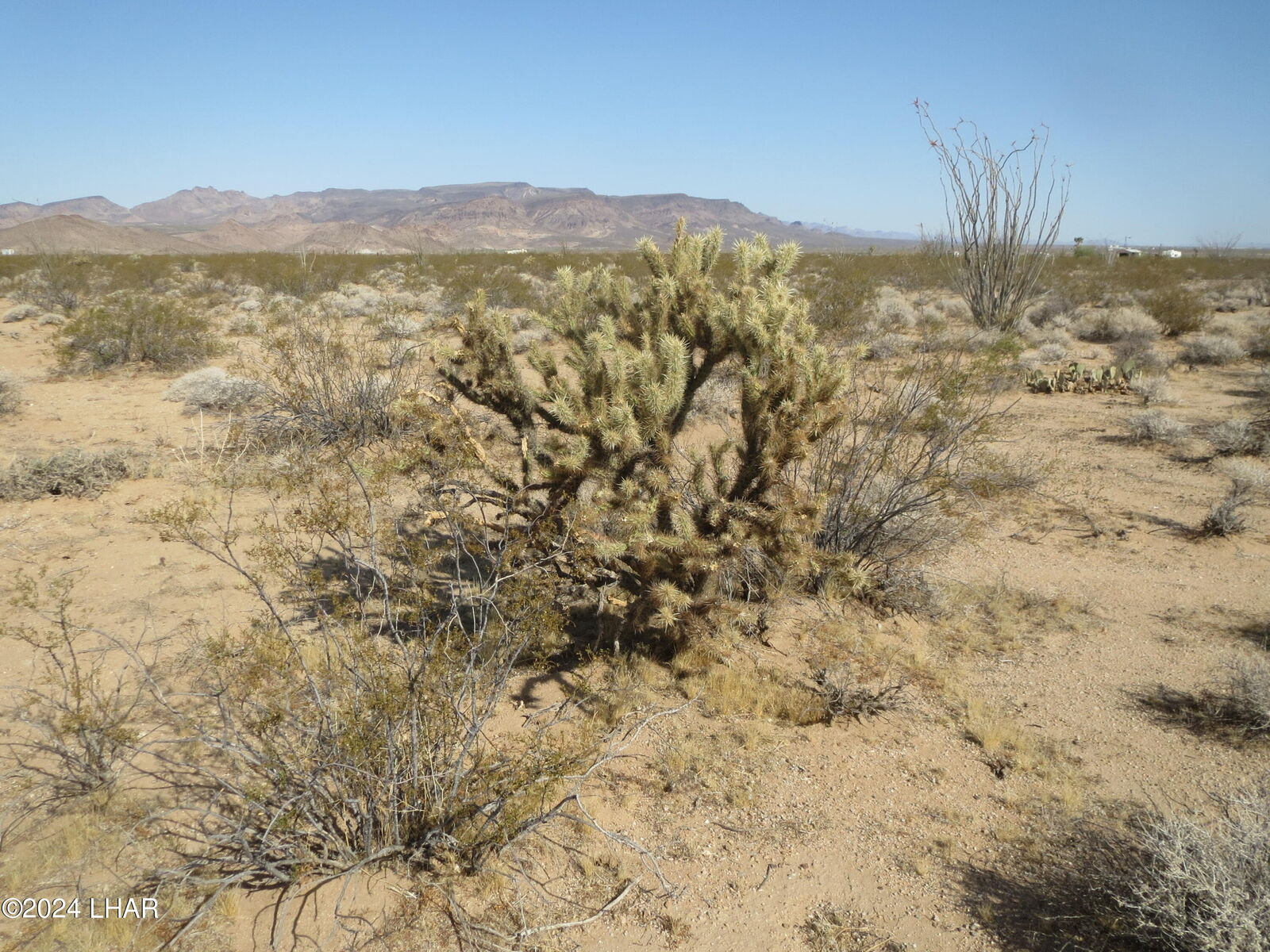 Property Photo: Lot 49-51 Rio Vista 2 Subdivision AZ 86436
