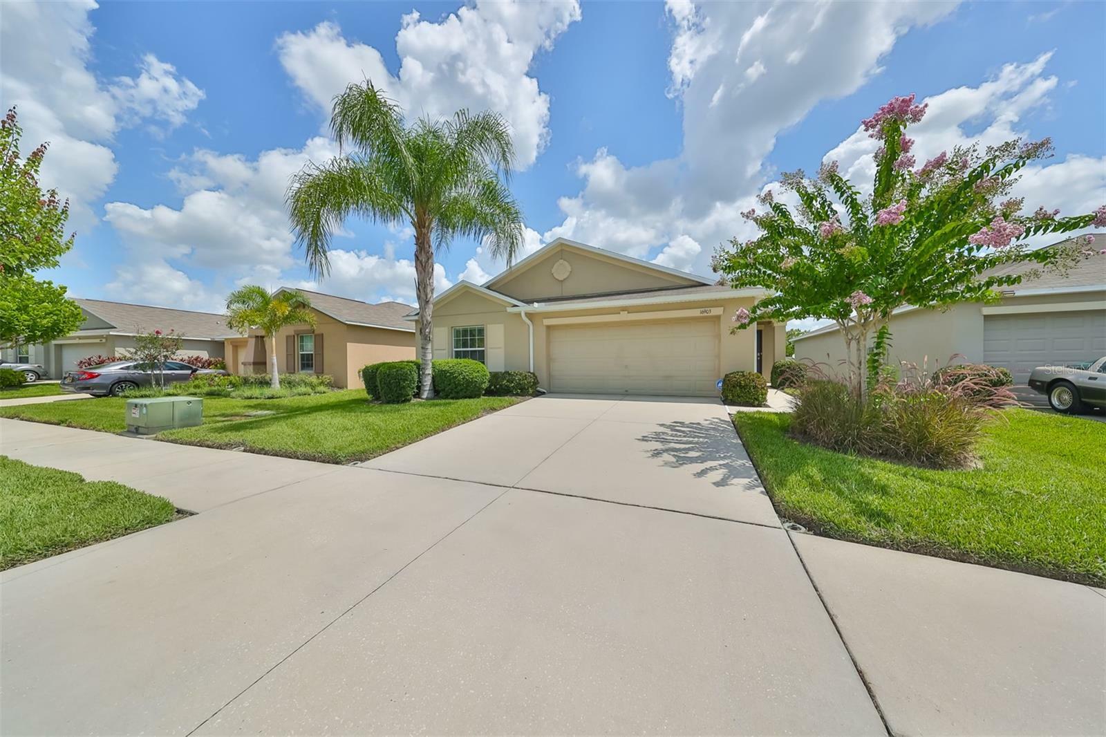 Property Photo:  16903 Peaceful Valley Drive  FL 33598 