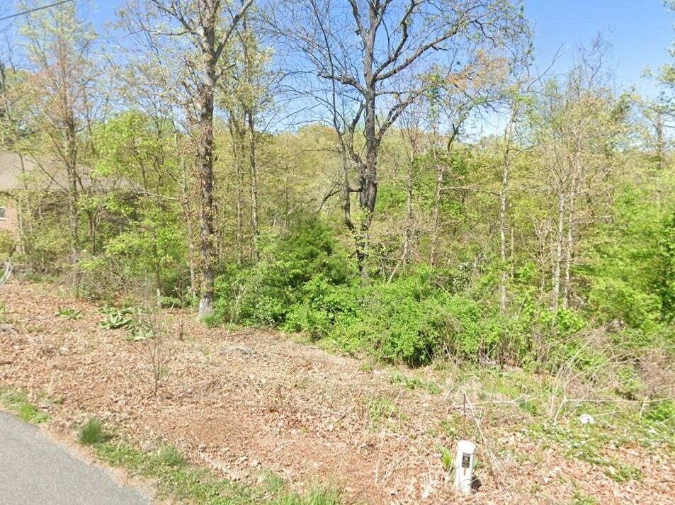 Property Photo:  Lot 21 Morvan Drive  AR 72715 