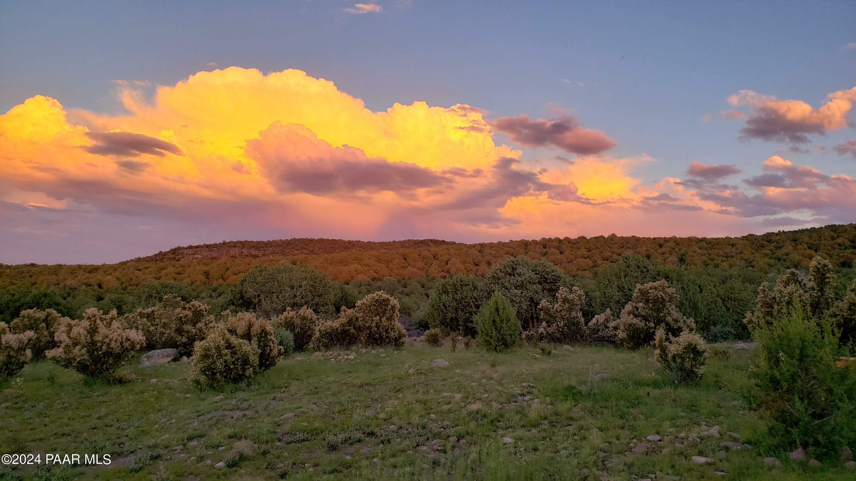 12601 Bumpy Road  Seligman AZ 86337 photo