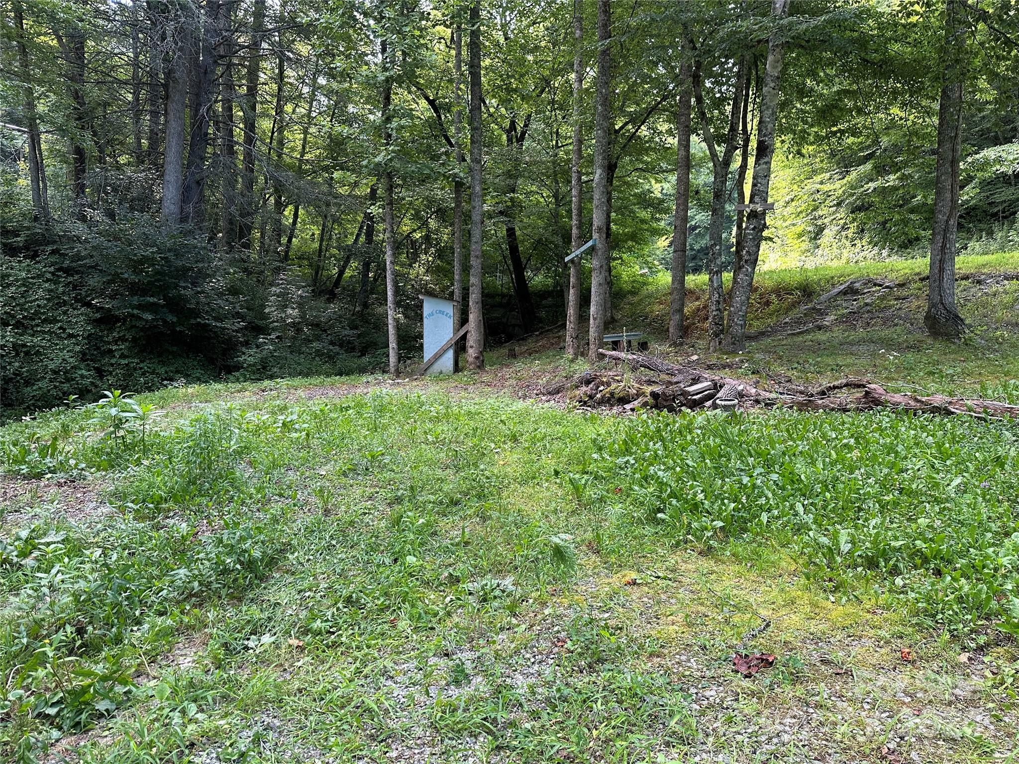 Property Photo:  99999 Hog Rock Road  NC 28792 