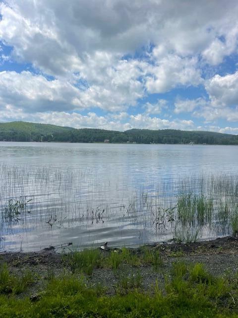 Property Photo: 911 Sly Brook Road ME 04781