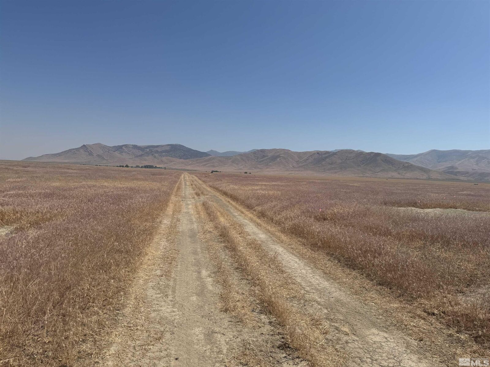 Property Photo:  00933014 Mason &Amp Innean  NV 89419 