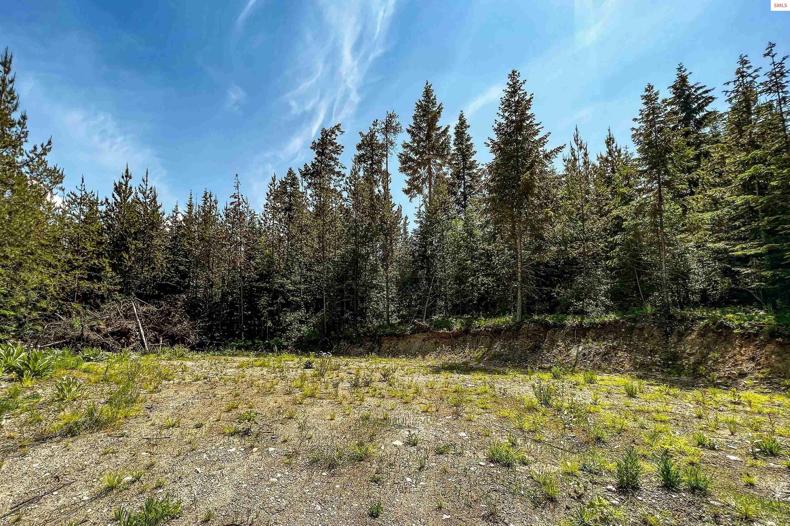 Property Photo:  Nka (Lot 4) Breckenridge Rd  ID 83856 