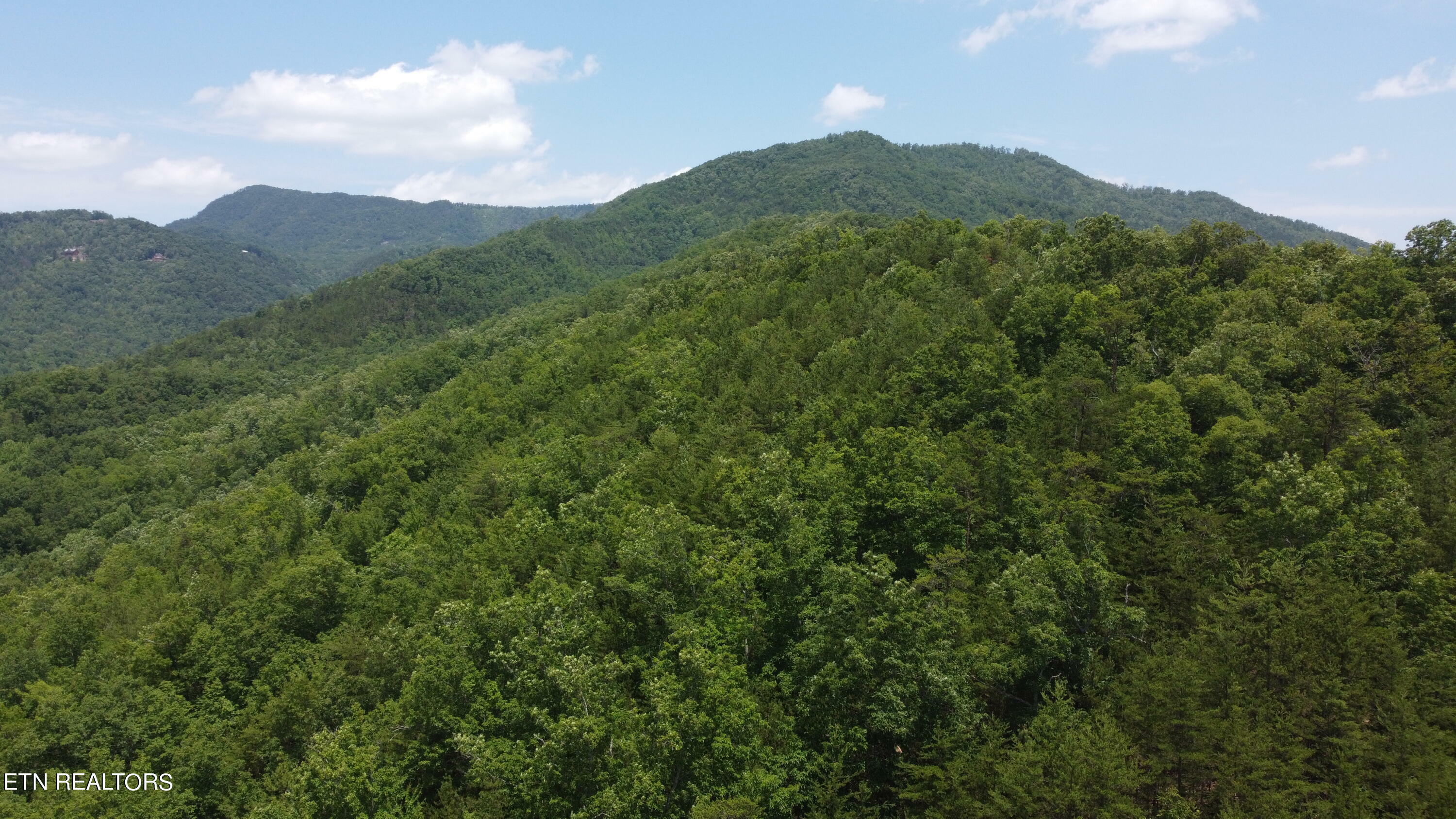 Property Photo:  Wilhite Rd  TN 37876 