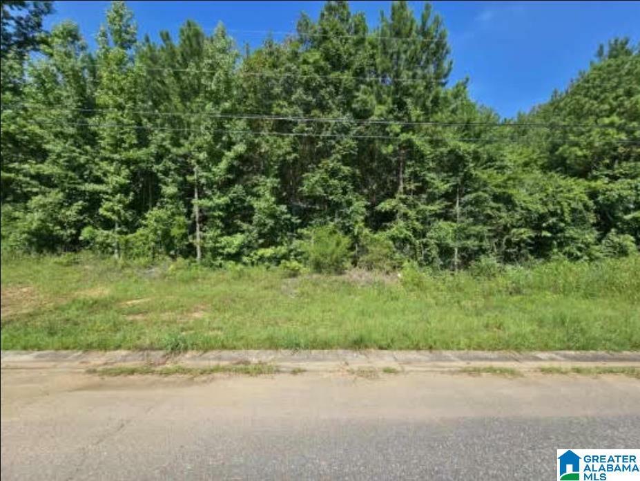 Property Photo:  Lot 6 Woodhaven Drive 6  AL 35128 