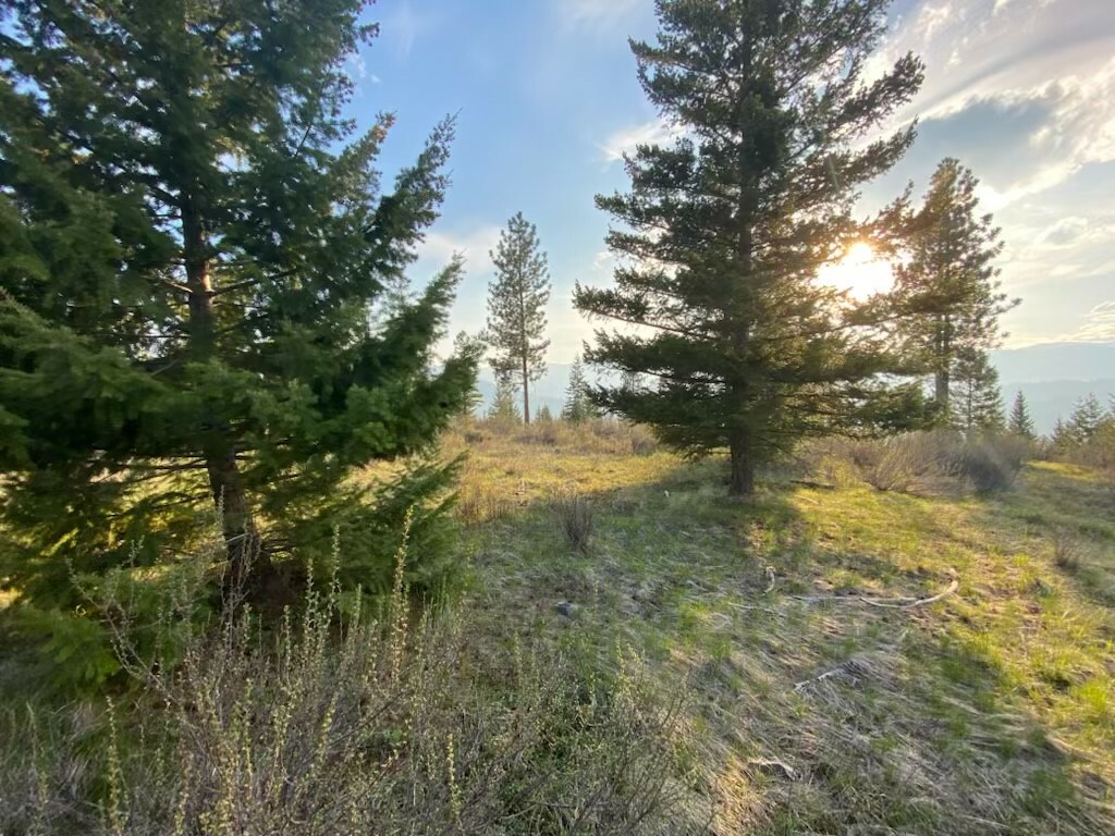 Property Photo:  Lot 26 Bighorn  MT 59859 