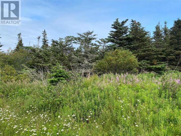 Property Photo:  0 McNamara Crescent  NL A0A 2M0 