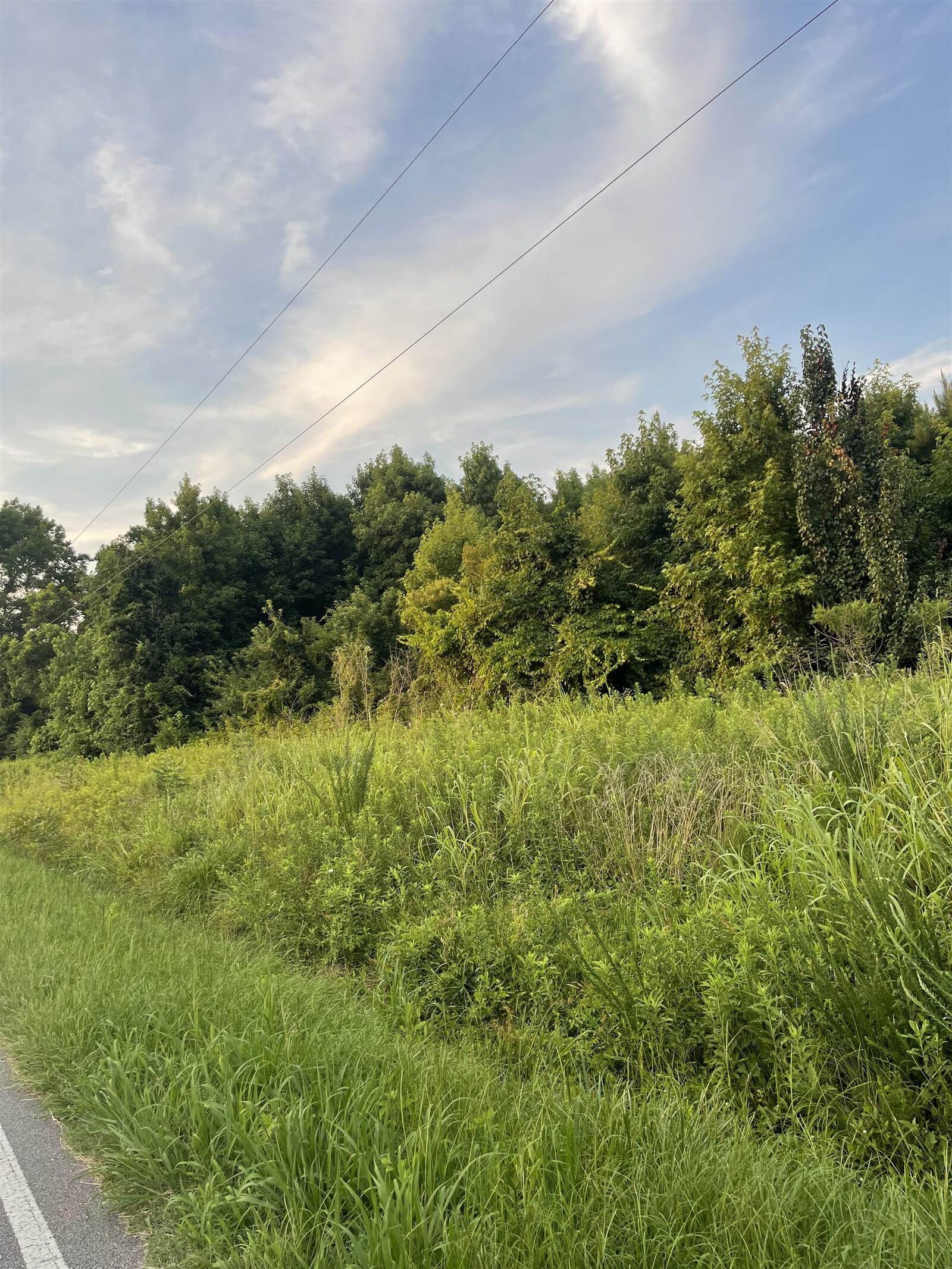 Property Photo: 115 Grandy Road NC 27939