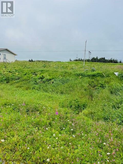 Lot #1 Main Street  Sally's Cove NL A0K 4Z0 photo