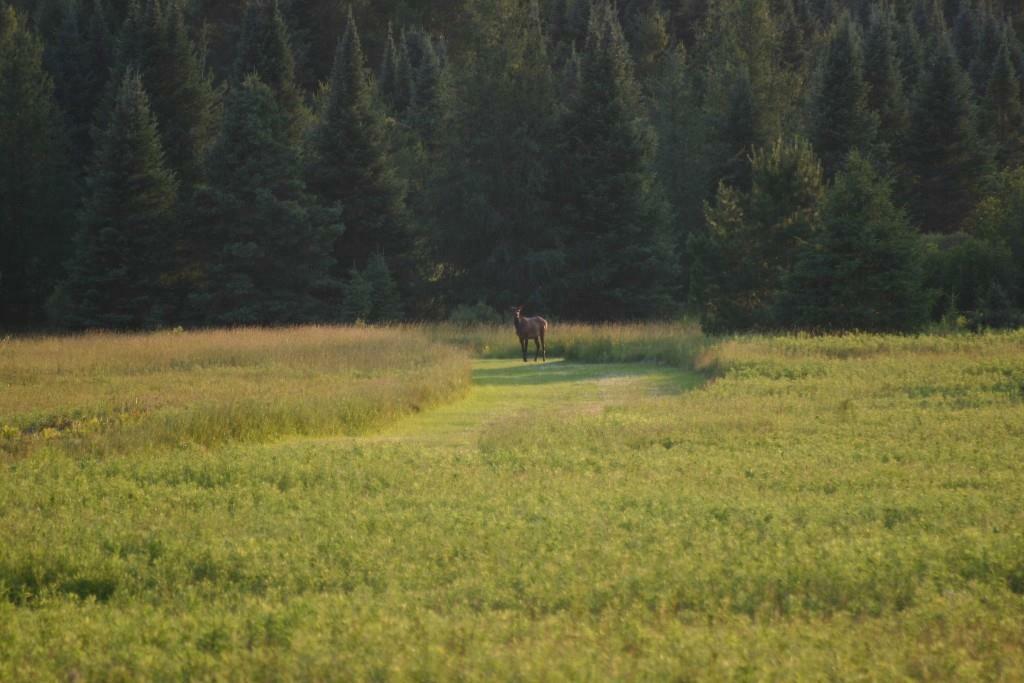 Property Photo:  12279 Stangle Road  WI 54514 